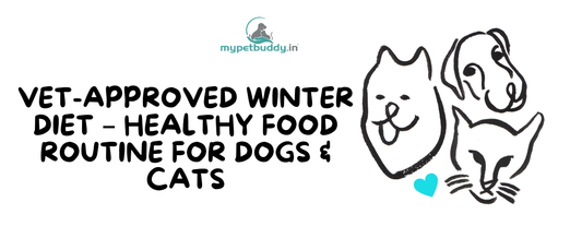 Healthy Winter Food Routine – Vet Approved Diet for Dogs & Cats