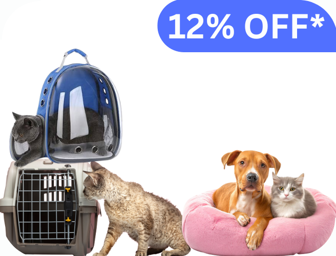 Pet Furniture, Toys & Accessories